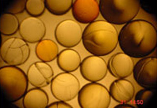Image_Resinex2